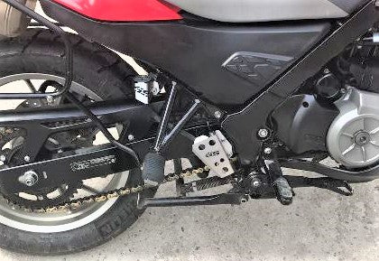 REAR BRAKE CONTAINER PROTECTOR