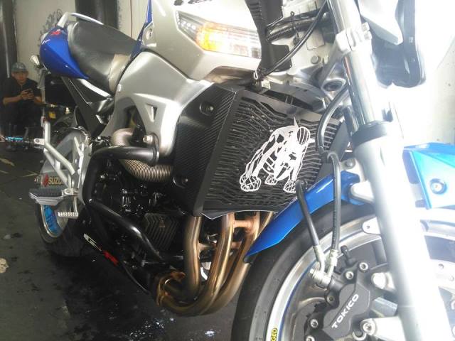 GSR6PRAR - PROTECTOR RADIADOR ALTO RELIEVE (SE FABRICA POR ENCARGO)
