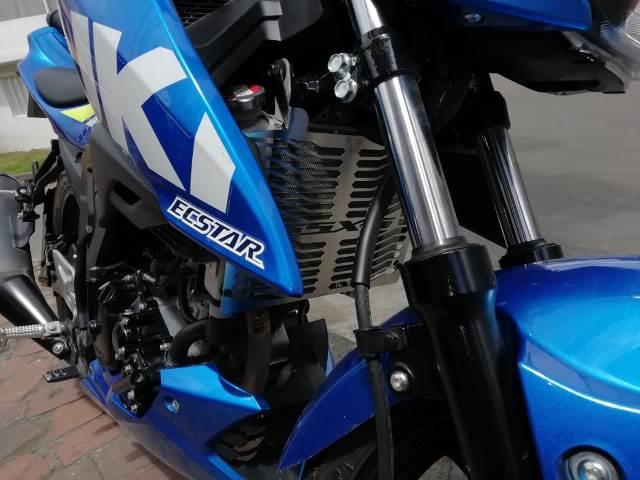 GSXS1PR - PROTECTOR RADIADOR GSXS 150
