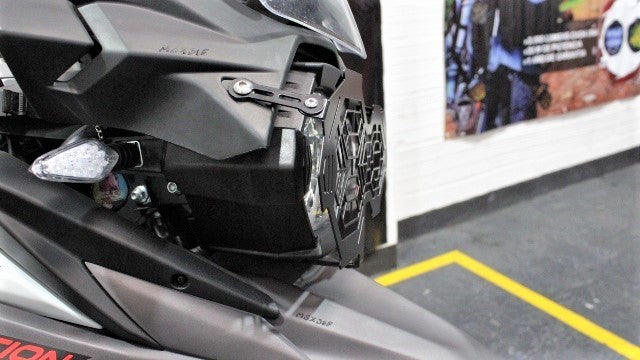 TT250FIPFA - PROTECTOR DE FAROLA FI