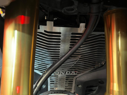 PROTECTOR RADIADOR COMPLETO XADV750
