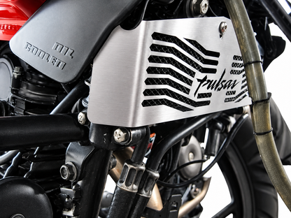 RADIATOR SHIELD