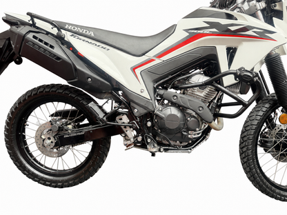 PROTECTOR PISTON FRENO TRASERO TORNADO 300