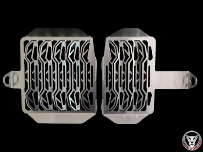 G650GSPR - PROTECTOR RADIADOR BMW G650GS