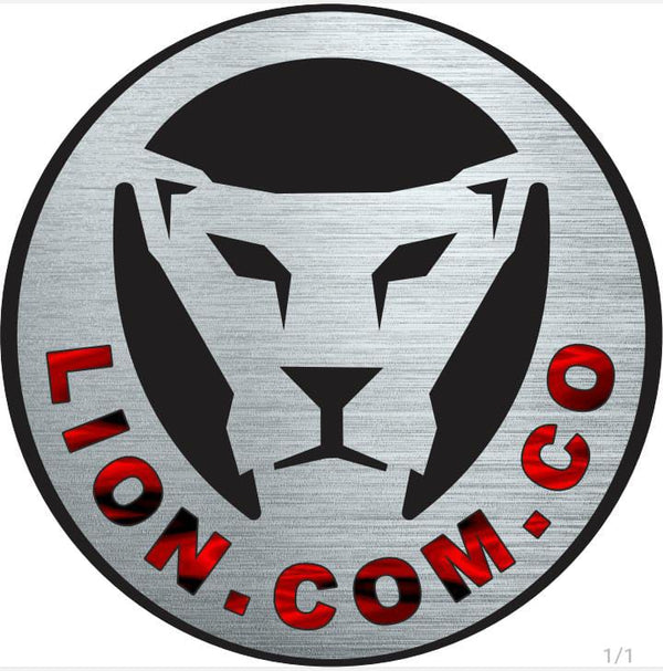 LION ACCESORIOS MOTO