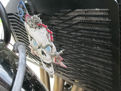 BANPRAR - PROTECTOR RADIADOR ALTO RELIEVE (SE FABRICA POR ENCARGO)