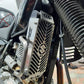 DR650PR1 - PROTECTOR RADIADOR