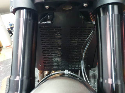 LEONPR - PROTECTOR RADIADOR