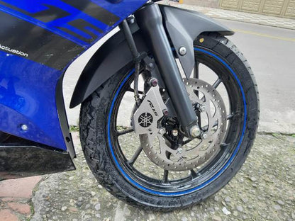 R15PCA - PROTECTOR CALIPER