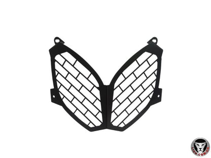 TEN250PFA - PROTECTOR FAROLA