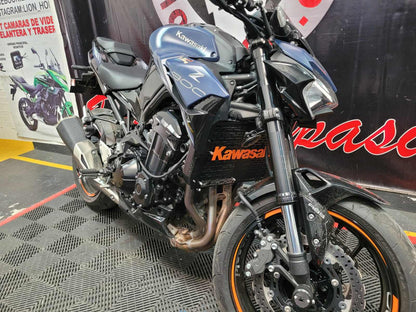 Z900PR - PROTECTOR RADIADOR ALTO RELIEVE (SE FABRICA POR ENCARGO)